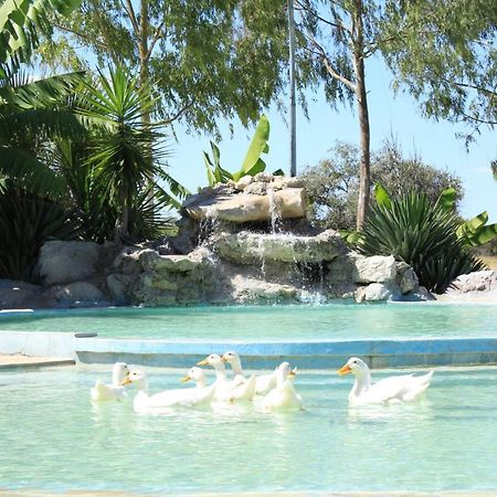 Bambi Lodge Grootfontein Eksteriør billede