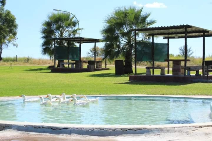 Bambi Lodge Grootfontein Eksteriør billede
