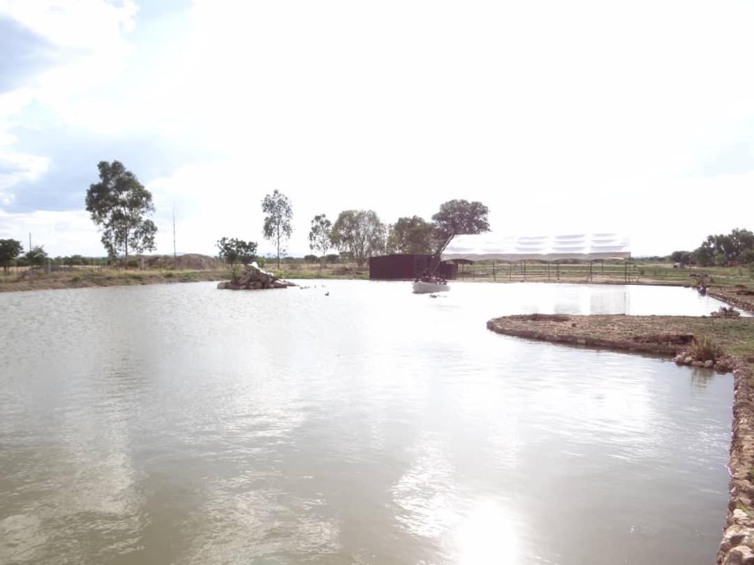 Bambi Lodge Grootfontein Eksteriør billede