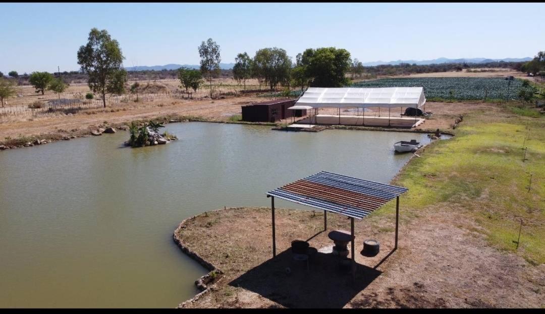 Bambi Lodge Grootfontein Eksteriør billede
