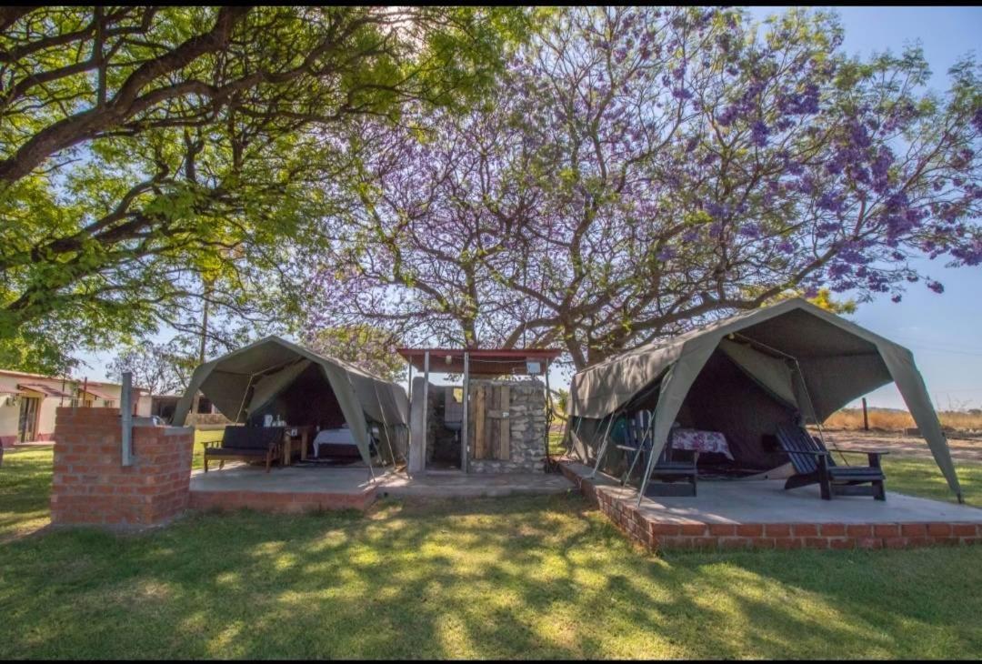 Bambi Lodge Grootfontein Eksteriør billede
