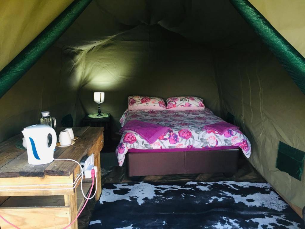 Bambi Lodge Grootfontein Eksteriør billede