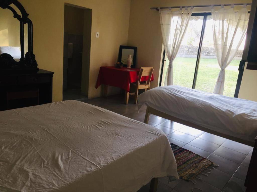 Bambi Lodge Grootfontein Eksteriør billede