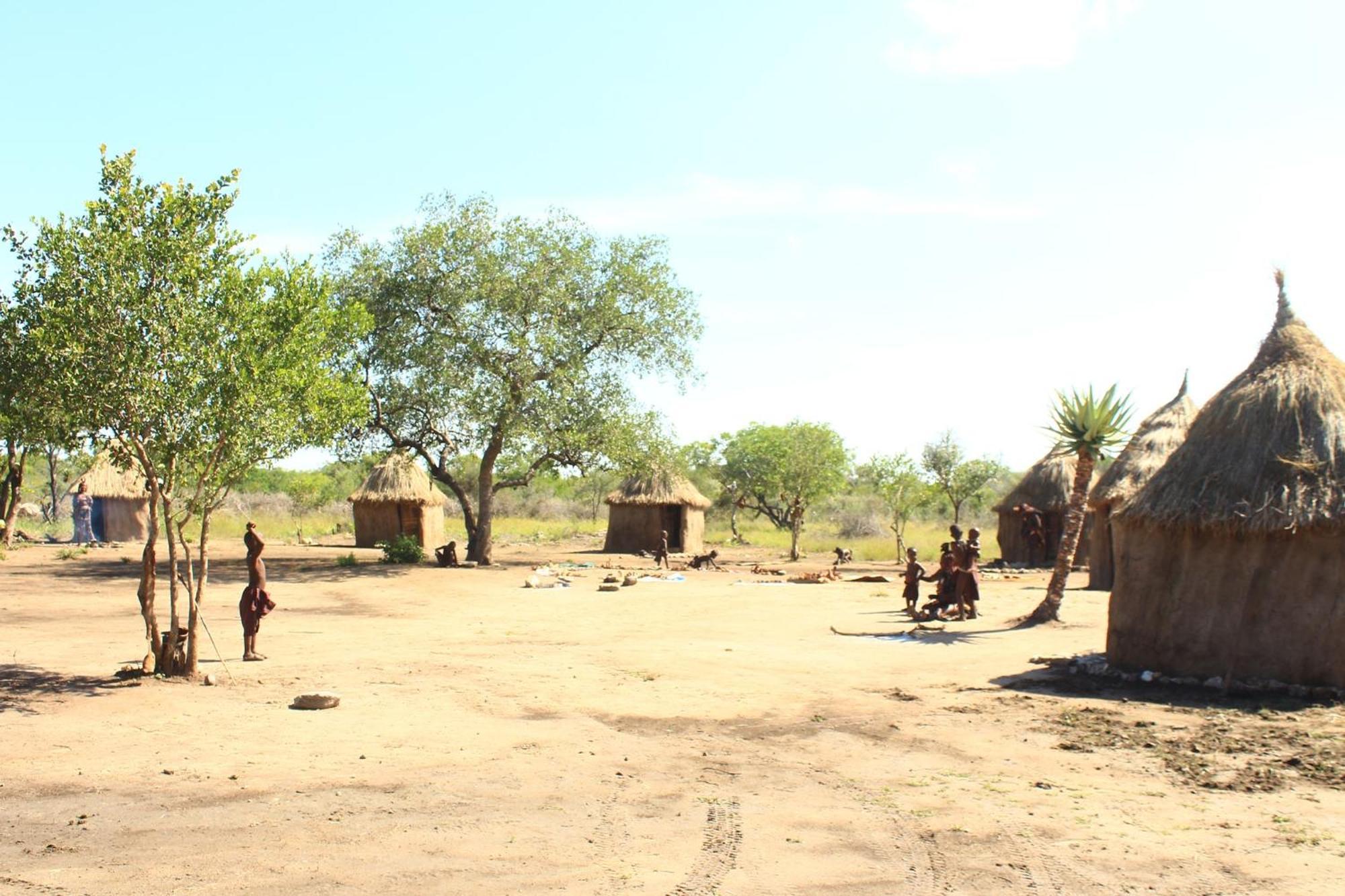 Bambi Lodge Grootfontein Eksteriør billede
